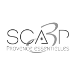 logo SCA3P